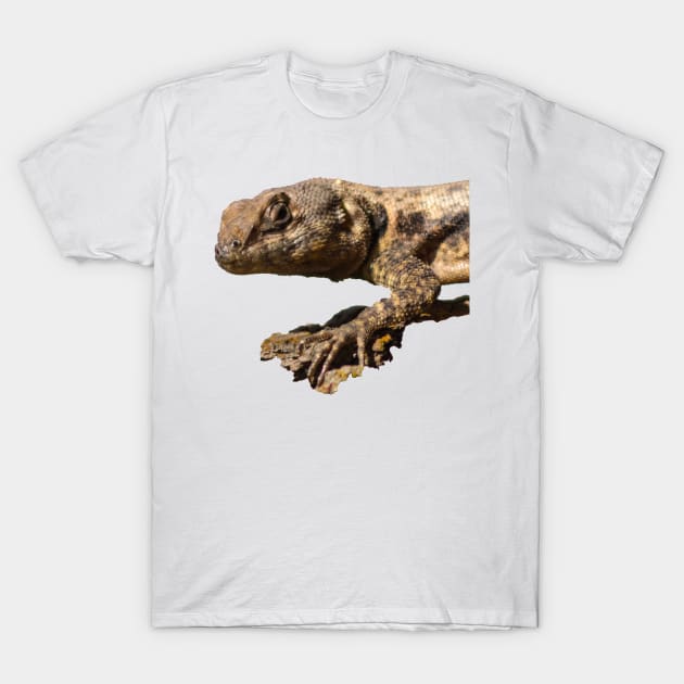 lizard T-Shirt by rickylabellevie